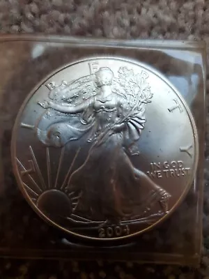 $33 • Buy 2004 US American Silver Eagle 1 Troy Oz .999 One Dollar Coin Lite Specles