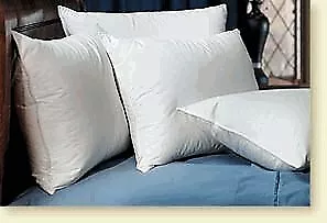 Pacific Coast Touch Of Down Standard Pillow Set (4 Standard Pillows) • $177