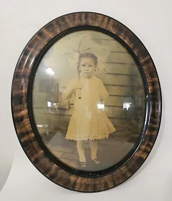 Girl W/ Parasol-Tiger Wood Picture Frame Convex Bubble Glass Oval 17” X 20” • $55