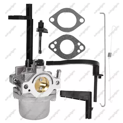 5000W 6250W Carburetor For Coleman Powermate  Briggs And Stratton 10HP Generator • $18.47