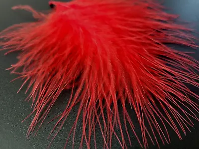 Marabou BLOOD QUILLS - Fly Tying Feathers - RED - Woolly Bugger - 12 Pc. NEW! • $2.99