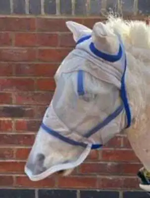 Ruggles Shetland-Miniature-Section A Fly Mask With Or Without Nose Guard • £21