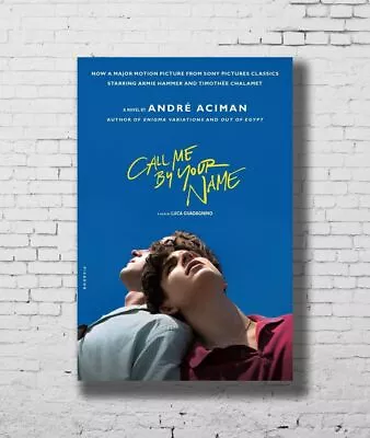 367524 Call Me By Your Name Movie Art Decor Wall Print Poster AU • $42.85