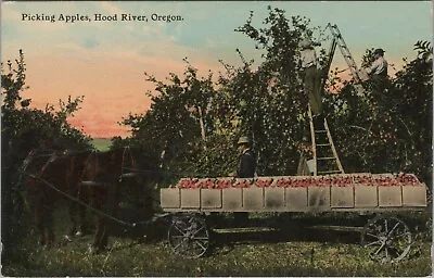 Hood River OR Apple Pickers Crates Horse Drawn Wagon Cart OWR Line Postcard N232 • $11.99