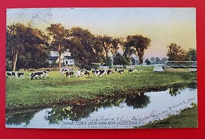 Middletown NY Orange County Dairy Farm Cows DB PD 1911 Antique Postcard A91 • $7.75