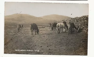 1925 Real Photo Postcard Dartmoor Ponies Devon - Chapman & Sons 11773 • £5.99