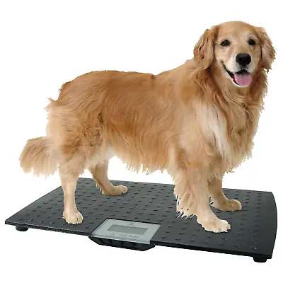 $116.22 • Buy Large Digital Pet Scale Veterinary Animal Weight Pet Dog Cat, Black NEW