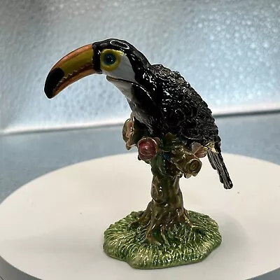 Toucan Bird On Tree Stump Trinket Box By Keren Kopal Get Yours Today! • $21