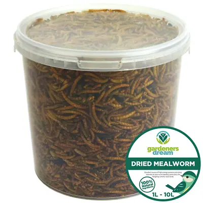 GardenersDream Dried Mealworms - Nutritious Wild Garden Bird Food Treats Birds • £10.99