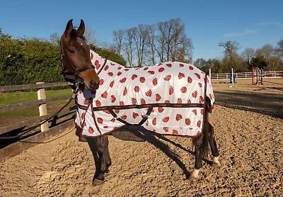 £38.50 • Buy FLY RUG | Whitaker LADYBIRD  COMBO Summer Sheet 5ft - 7ft FREE Postage ON SALE