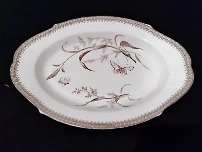 Antique 1878 T&R Boote England SUMMER TIME Lg Brown & White Transferware Platter • $100