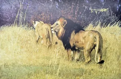 Bob Kuhn Artist-Signed & Numbered  Serengeti Monarch  Lion Print 1972 • $125