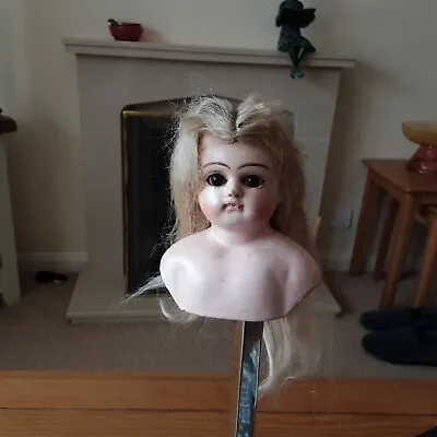 £6.50 • Buy Antique Dolls Head Wax With Glass Sleepi Eyes And Mohair Wig 1 Extra For Project