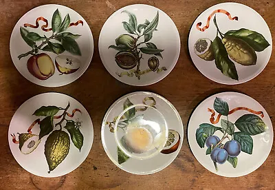 Vtg Villeroy & Boch Set Of 6 Fruit Botanicals 8  Dessert Plates Luxenbourg • $295