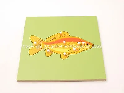 NEW Montessori Zoology Material - NEW -Fish Puzzle With SKELETON • $9.99