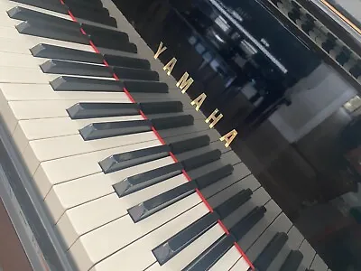 Yamaha C5L 7ft Grand Piano • $35000