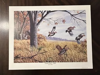 Country Covey - Quail Signed Limited Edition Print Jerrie Glasper 25.5” X 19.5” • $45