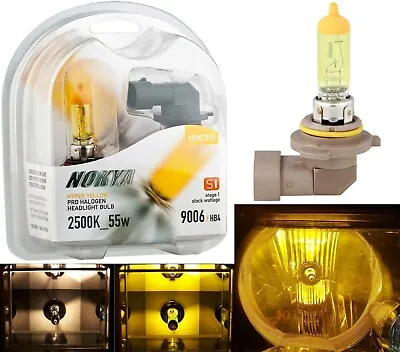 Nokya 2500K Yellow 9006 HB4 Nok7610 55W Two Bulbs Fog Light Replace Plug Play OE • $22.80