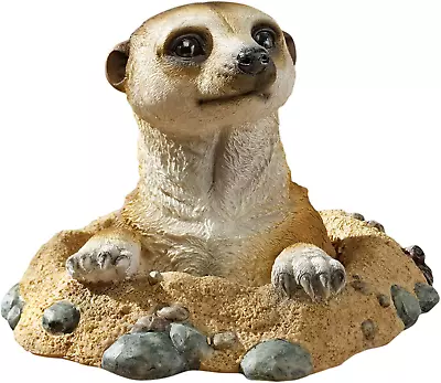 QL57081 Out Of The Kalahari Meerkat Garden Animal Statue 10 Inch Polyresin Fu • $58.33
