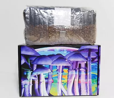 6 Pound Mushroom Grow Bag - Magic All In One Grow Kit In A Bag • $54.60