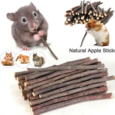 100g Apple Wood Chew Sticks Twigs For Small Pets Rabbit Hamster Guinea Pig Toy • £3.59