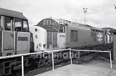 Cardiff Canton Class 37 37704 28.8.88 35mm Railway Negative RN353 • £2.99