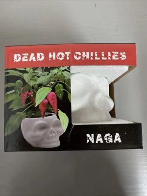 £16.99 • Buy Naga Dead Hot Chillies Grow Your Own Growing Kit Skull Plant Pot. NEXT DAY