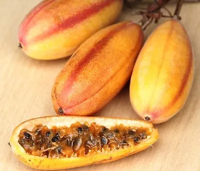£12.29 • Buy Banana Passionfruit, PASSIFLORA MOLLISSIMA Passion Fruit Flower Seed 25 SEEDS