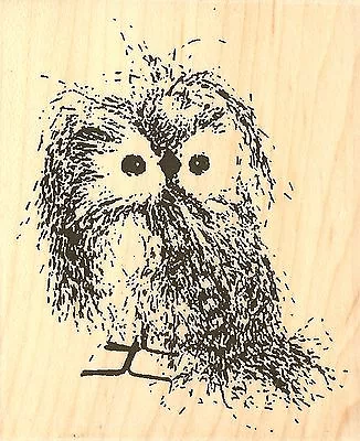 OWL Feathery Owl Bird Wood Mounted Rubber Stamp Impression Obsession E9781 NEW • $17.36