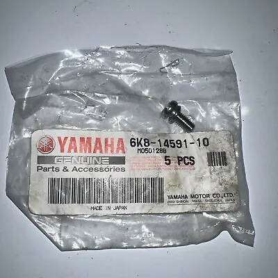 Genuine Yamaha Carburetor Screw Wave Runner Jammer Blaster Superjet Fx1 Ar210 • $6.99