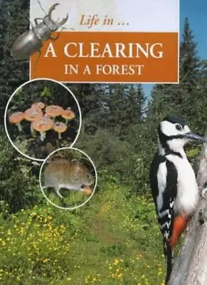 Clearing In The Forest (Life In....)Sally Morgan • £2.59