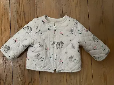 Baby Gap Quilted Jacket Age 3-6 Months • £5