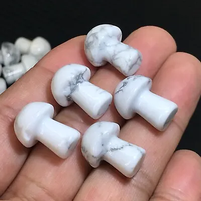 10pc Natural Howlite Mushroom Quartz Crystal Reiki Healing Gem Random • $5