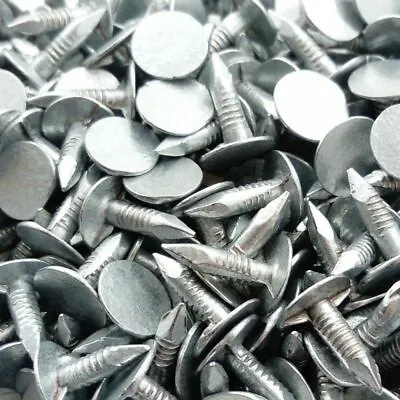 100g Felt Nails 13mm Galvanised Roofing Shed Hutch Kennel Tack Clout Head • £3.99