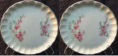 W S George Bolero Peach Blossom Luncheon Plates 9 1/4  Pink Set Of 2 Excellent • $12.99