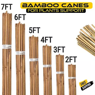 Bamboo Heavy Duty Garden Canes Thick Quality Flower Plant Support Cane Stake UK • £14.99