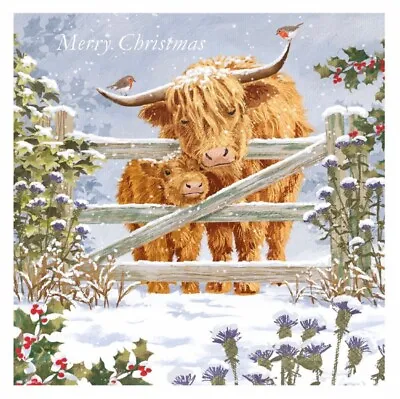 Highland Cows At Christmas ~ Charity Christmas Card ~ SINGLE CARD~See Desc • £2.50