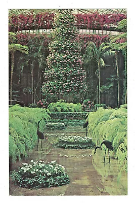 Postcard LONGWOOD GARDENS Beautiful Bougainvillea Cascades Pennsylvania. B • $3.99