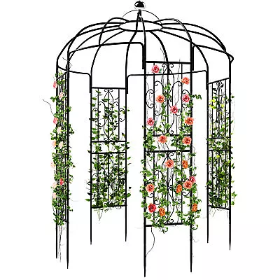 TAUS Metal Garden Arch Arbors Gazebo Birdcage Shape Pergola Pavilion For Outdoor • $125.99