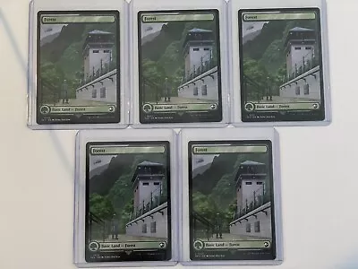 5x MTG Forest (0025) Double Sided - Jurassic World Collection Near Mint • $10