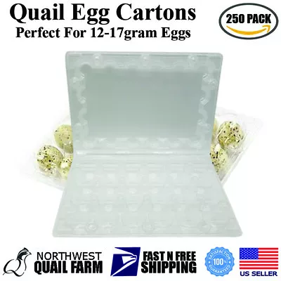 Jumbo Quail Egg Cartons 24 Cell (4x6) 250pcs - Secure Snap Close Fast Shipping • $118.95