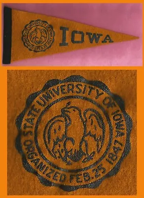 Vintage University Of Iowa Hawkeyes Football Pennant! WOW! • $24.95