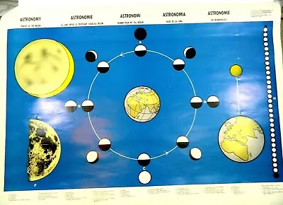 Vintage Astronomy & Astrology Poster In 5 Languages Phases Of The Moon • $110.40