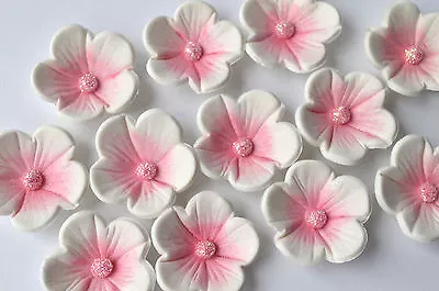 24 Edible Pink And White Blossom Birthday Cake Flowers. Edible Pink Flowers. • £9.95