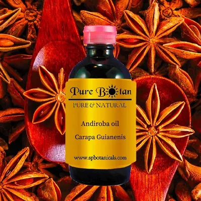 8 Oz ANISE STAR - 100% PURE ESSENTIAL OIL - *AMBER GLASS BOTTLE* - WHOLESALE • $18.05
