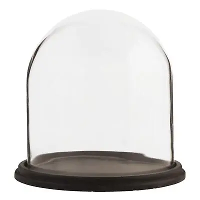 £44.99 • Buy Glass Display Cloche Bell Jar Dome Flower Preservation Vase Wooden Base 22cm