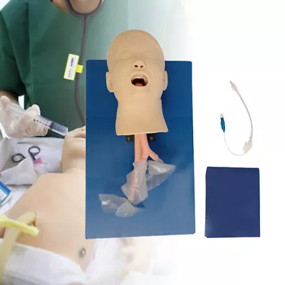 $185.25 • Buy Airway Management Trainer Child Intubation Manikin Study Teaching Model W/ Tube