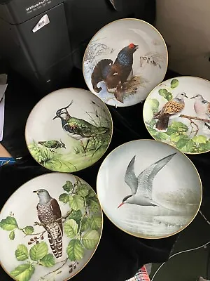 5pces.french Haviland Limoges Signed Franklin Porcelain 'wildbirds Of The World' • £43.99
