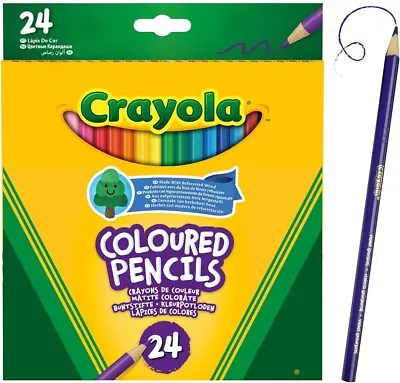 Crayola Multi Colouring Pencils Assorted Pre-Sharpened Strong Leads Pack Of 24 • £16.22