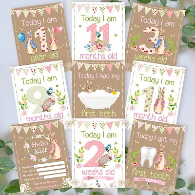 Peter Rabbit Baby Milestone Cards • Baby Shower Gift • New Baby Gift • Keepsakes • £5.99
